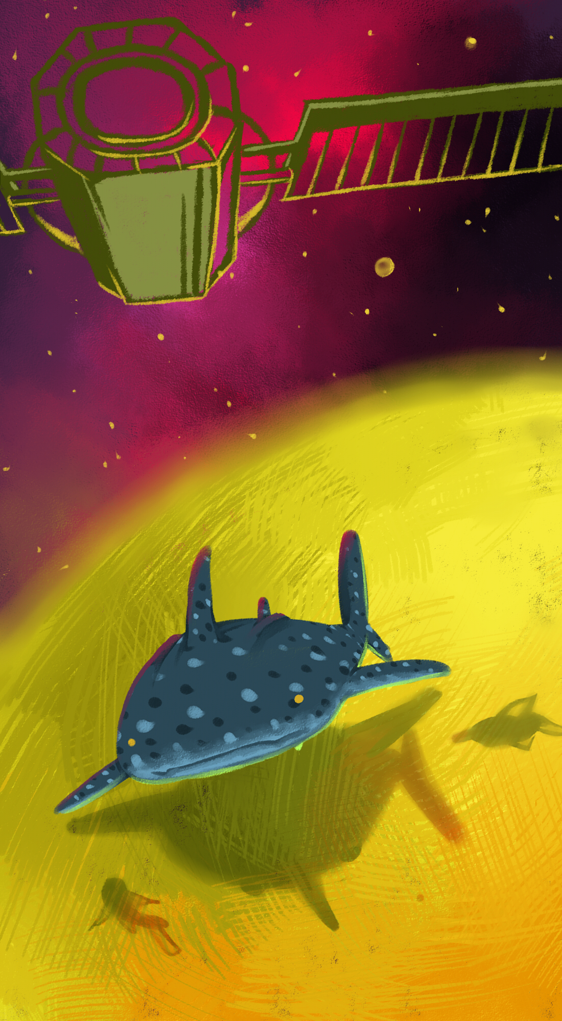 [web] Chen-Whale Shark Adventure
