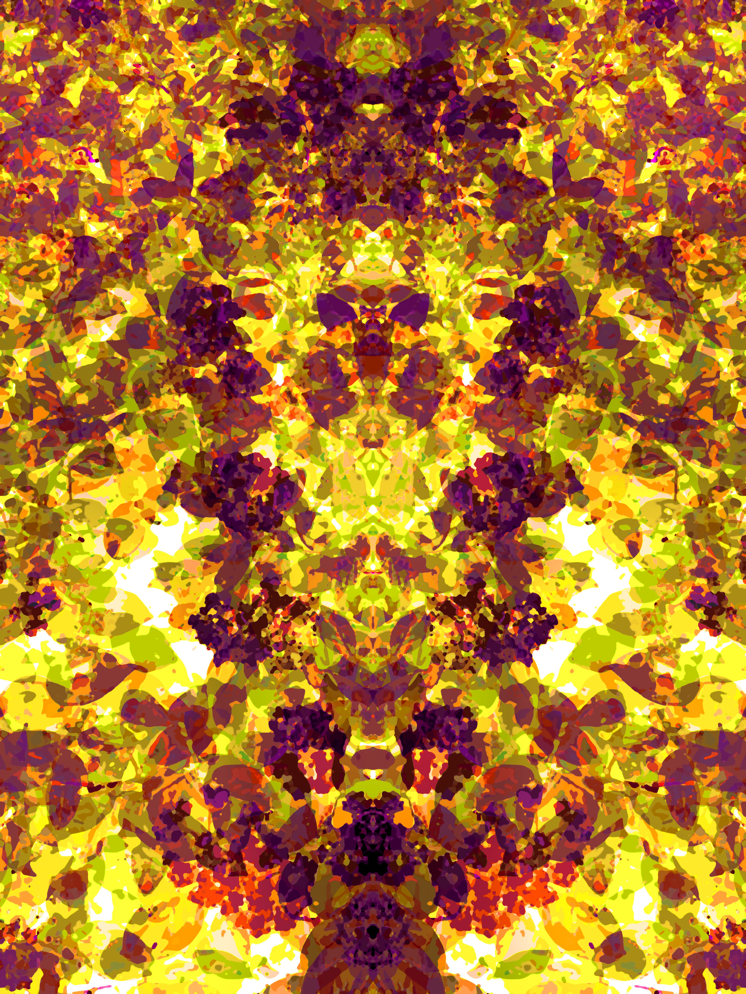 Zubair-Butterfly Factory