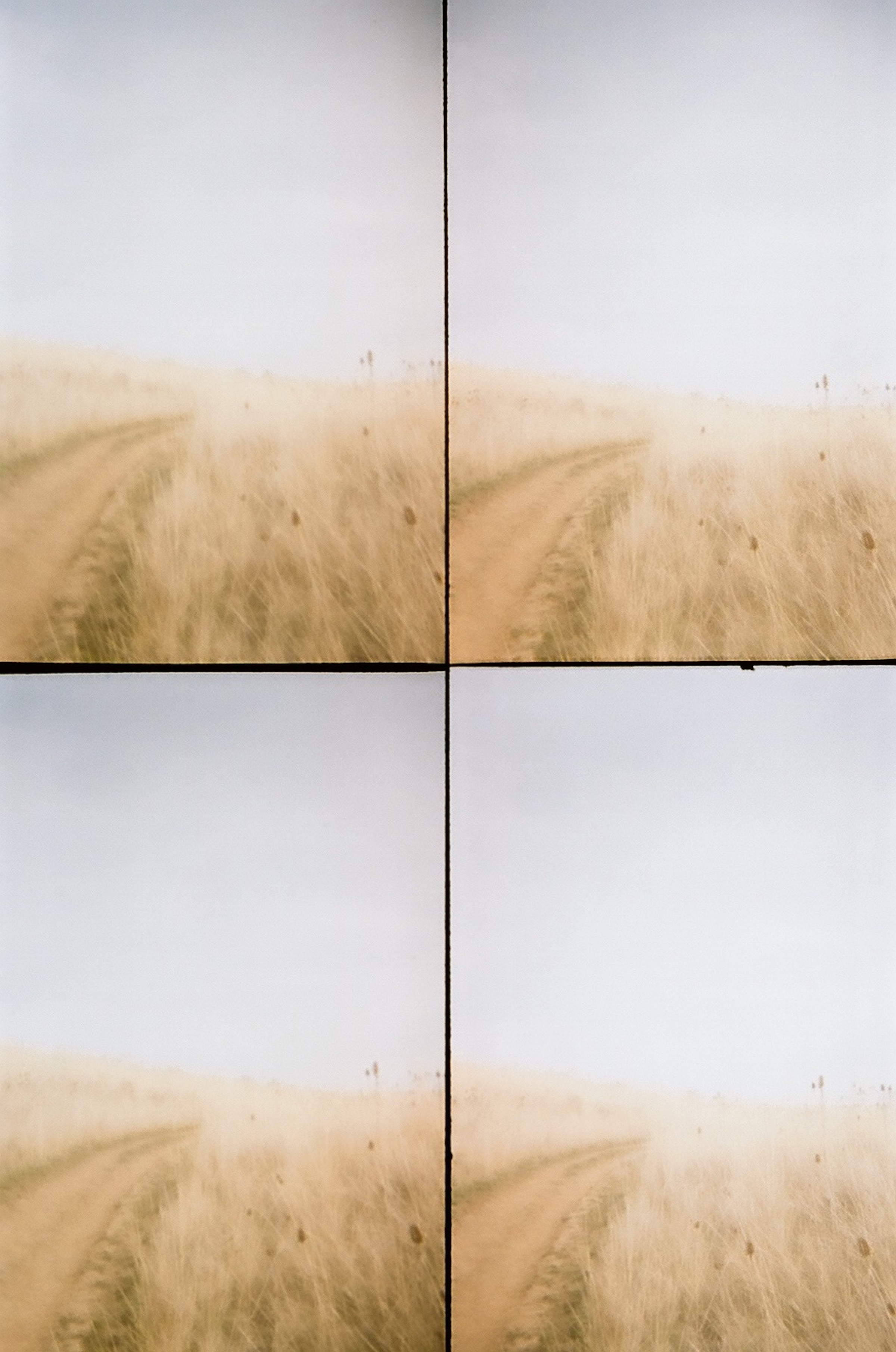 Updated-Resized_Rooney_Untitled