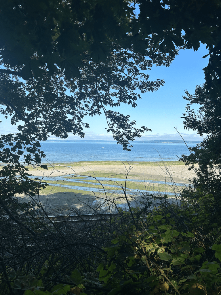 A vertical photograph of the beach and ocean, darkly framed by trees and plants.