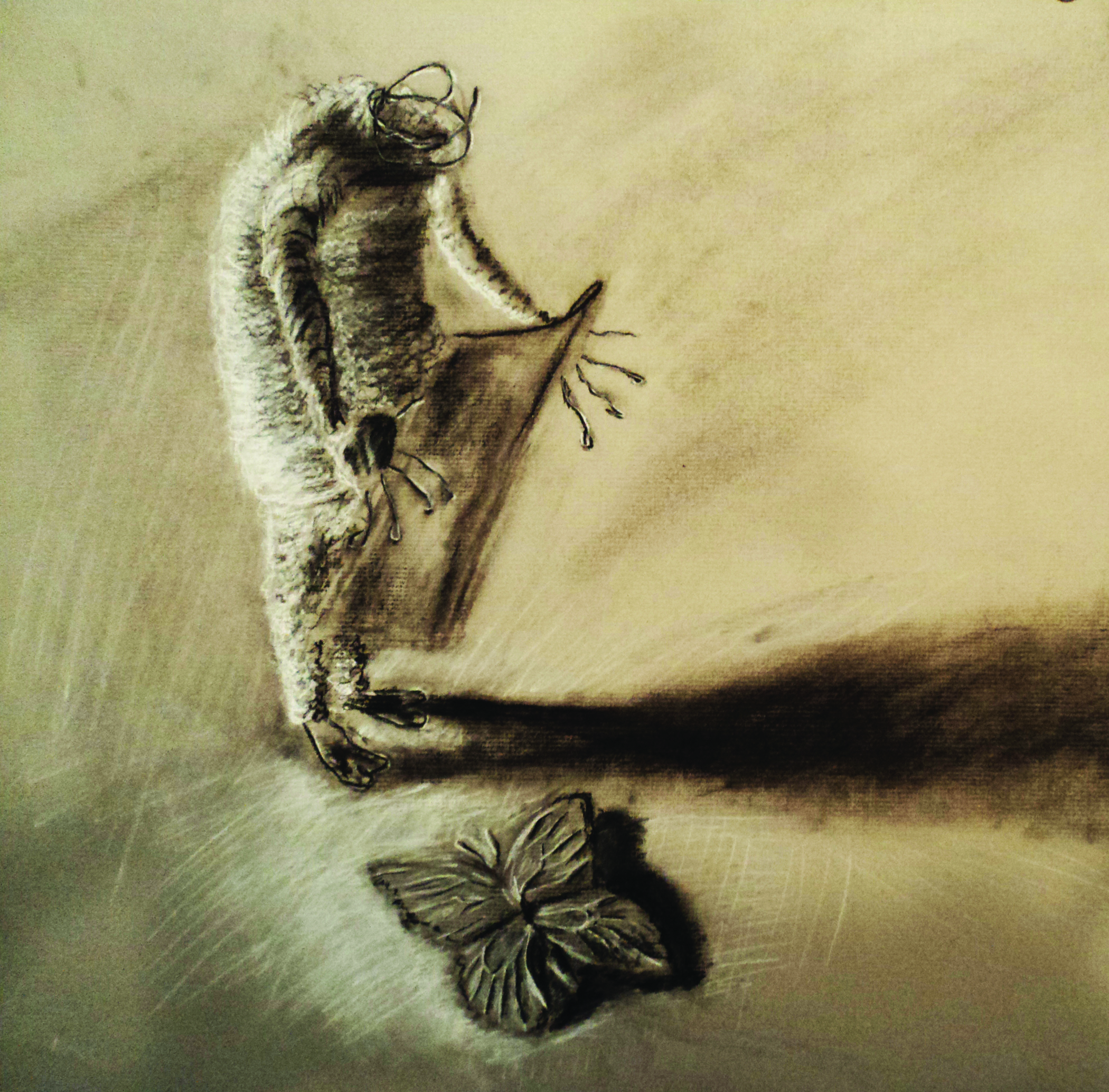 (Reupload of 2015 image for slideshow purposes)